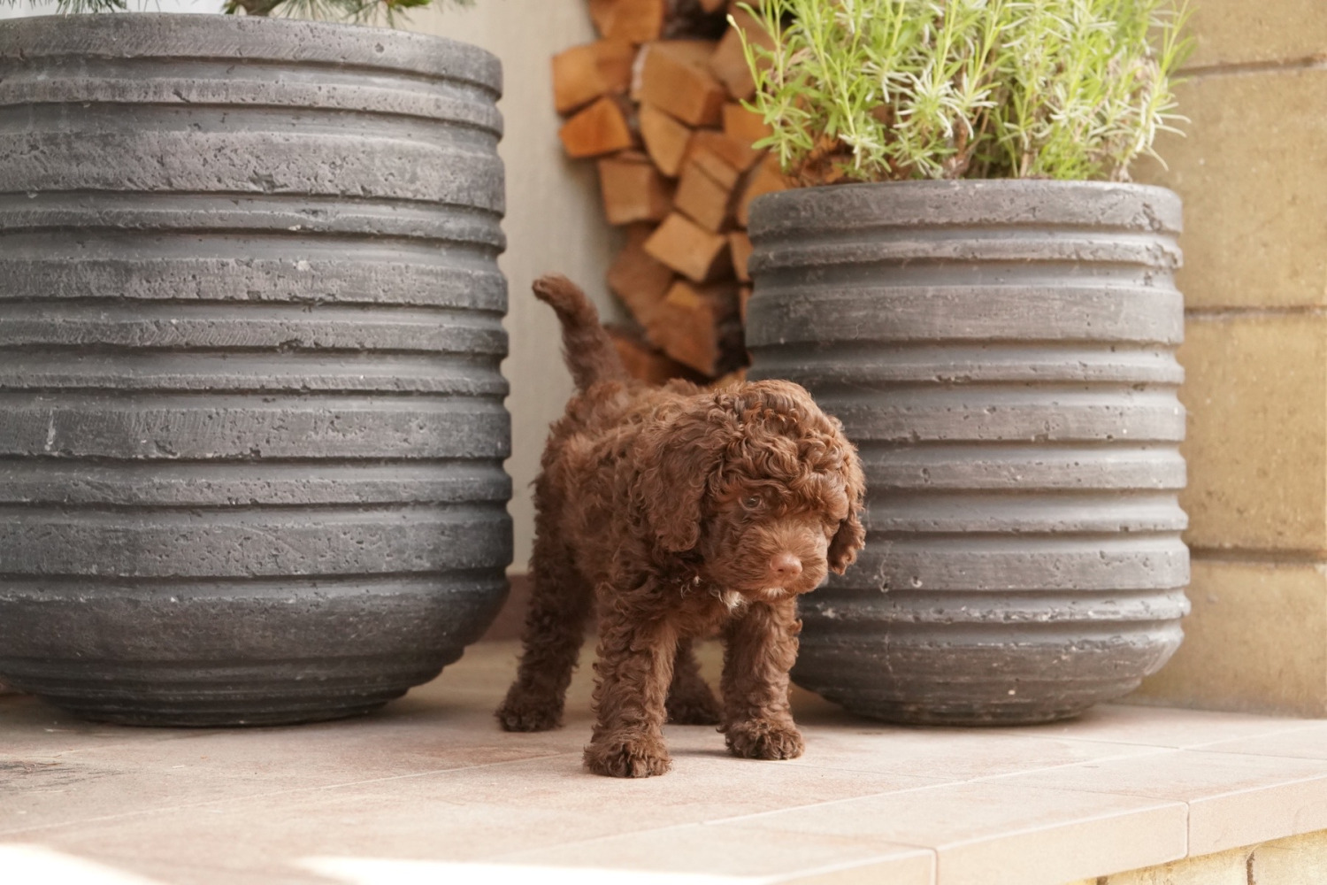 изображение_viber_2023-09-06_11-04-05-254