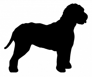 "Testadoro Lagotto" dog kennel